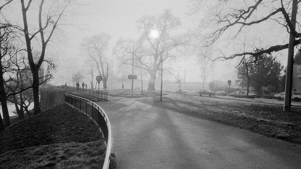 At the Danube II - ID 013480