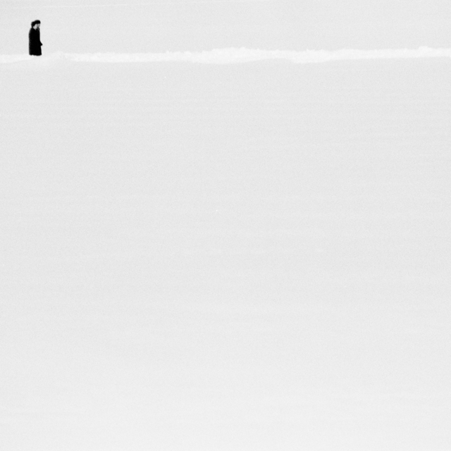 Two in the Snow - ID 013489