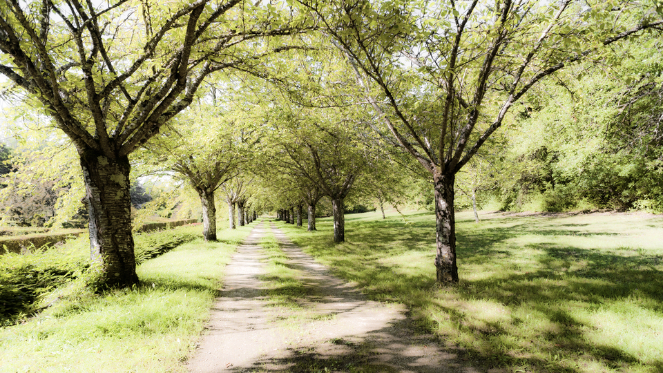 Castle Garden Alley III - ID 013509