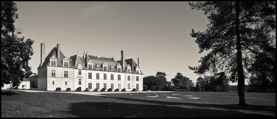 Castle in Garden II - ID 013514