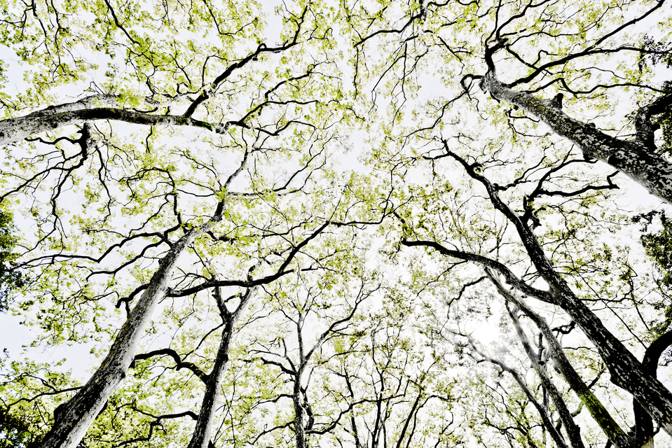 Castle Alley II - ID 013519