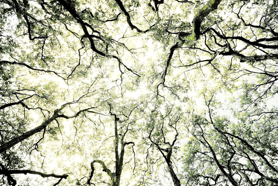 Castle Alley IV - ID 013541