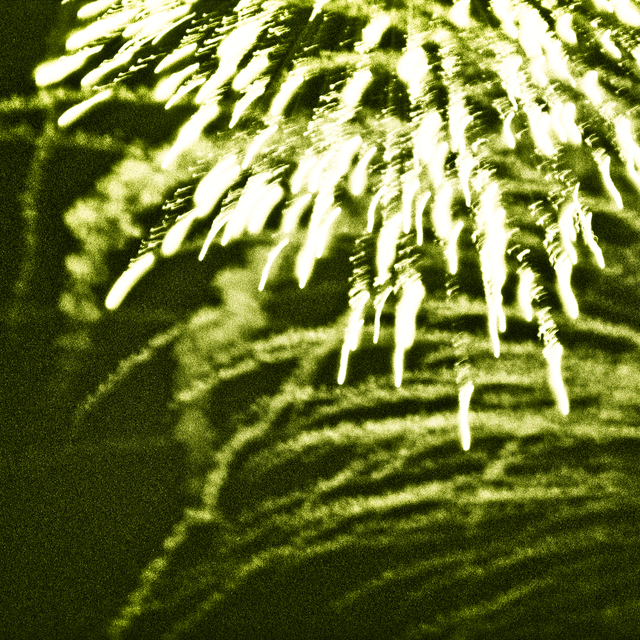 Fireworks above Danube IV - ID 013644