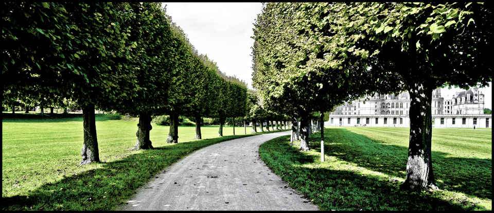 Chambord V - ID 013663