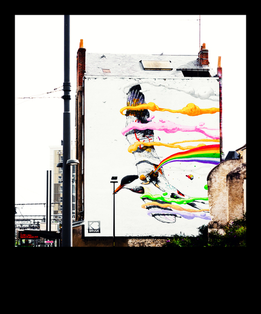 Tours Bird Riding - ID 013712