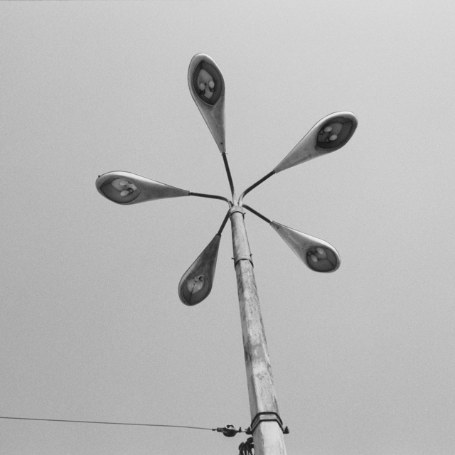 Modern Flower - ID 013732