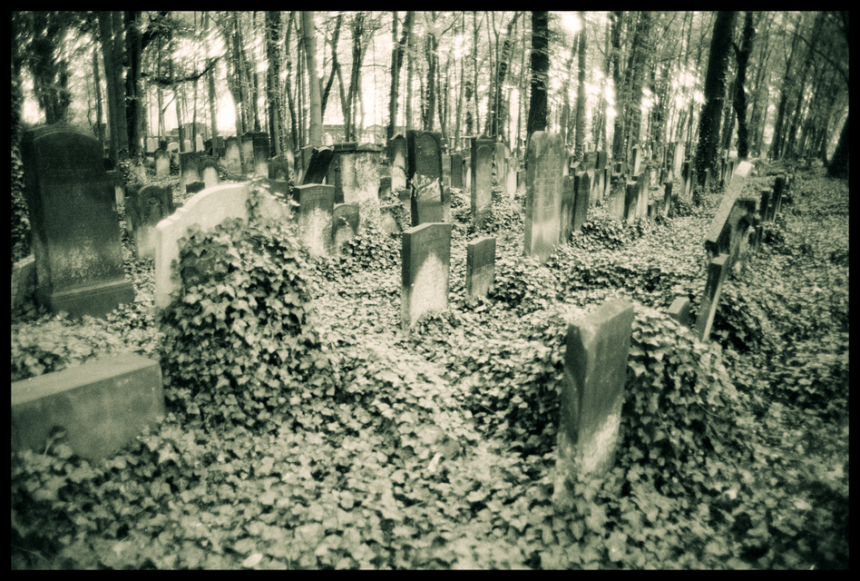 Berlin Jewish Cemetery I - ID 013741