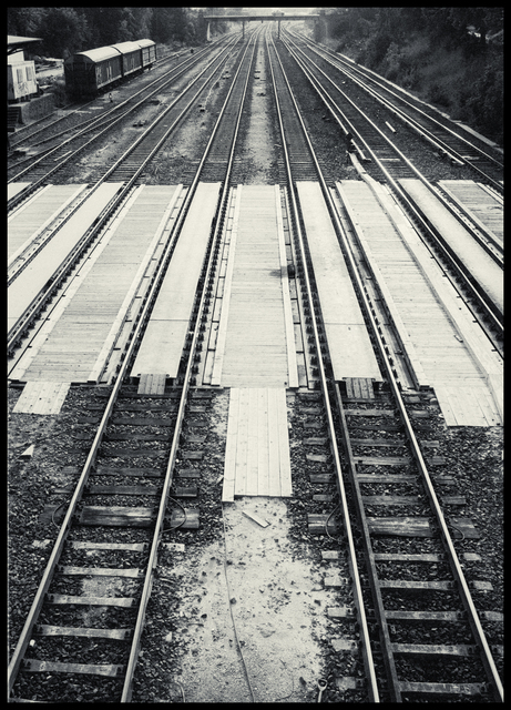 Three Wagons - ID 013752