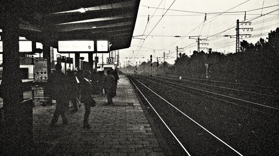 Platform 9 - ID 013773