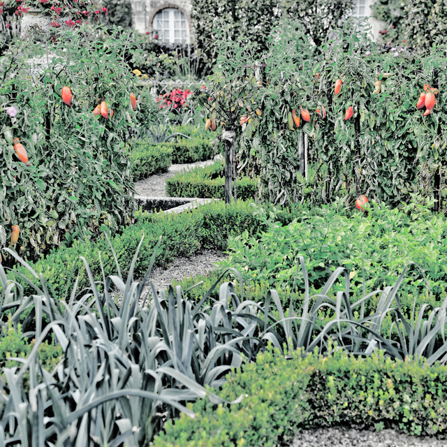 Castle Garden VII - ID 013798