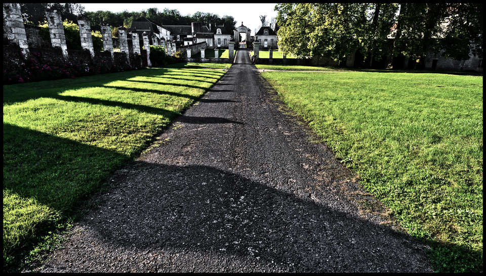 Shadows Bite - ID 013830