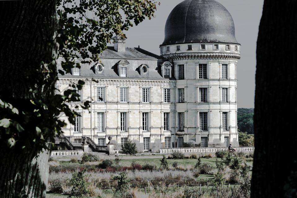 View between Trees - ID 013897