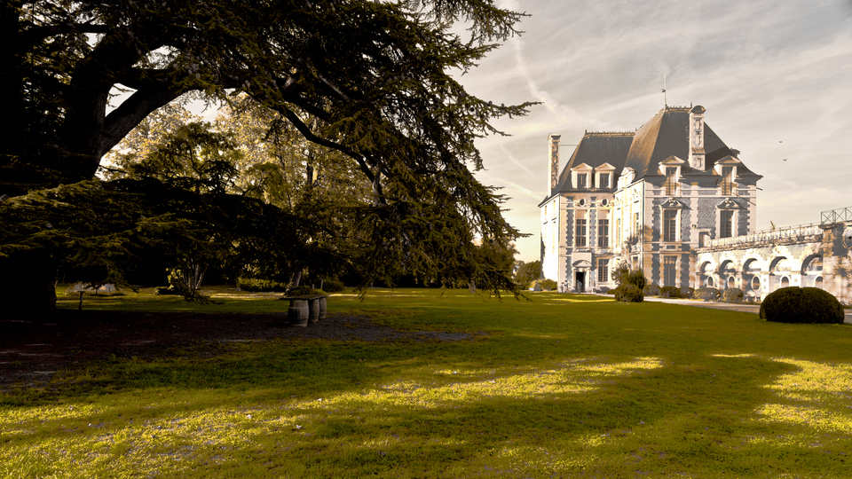 Tree and part of Castle - ID 013909