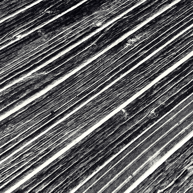Negative Wood - ID 013981