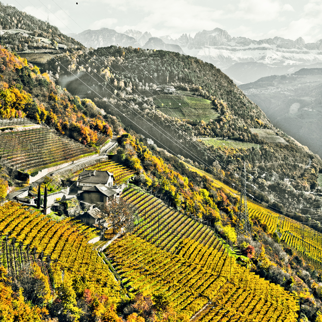 Above Bozen XIX - ID 014165