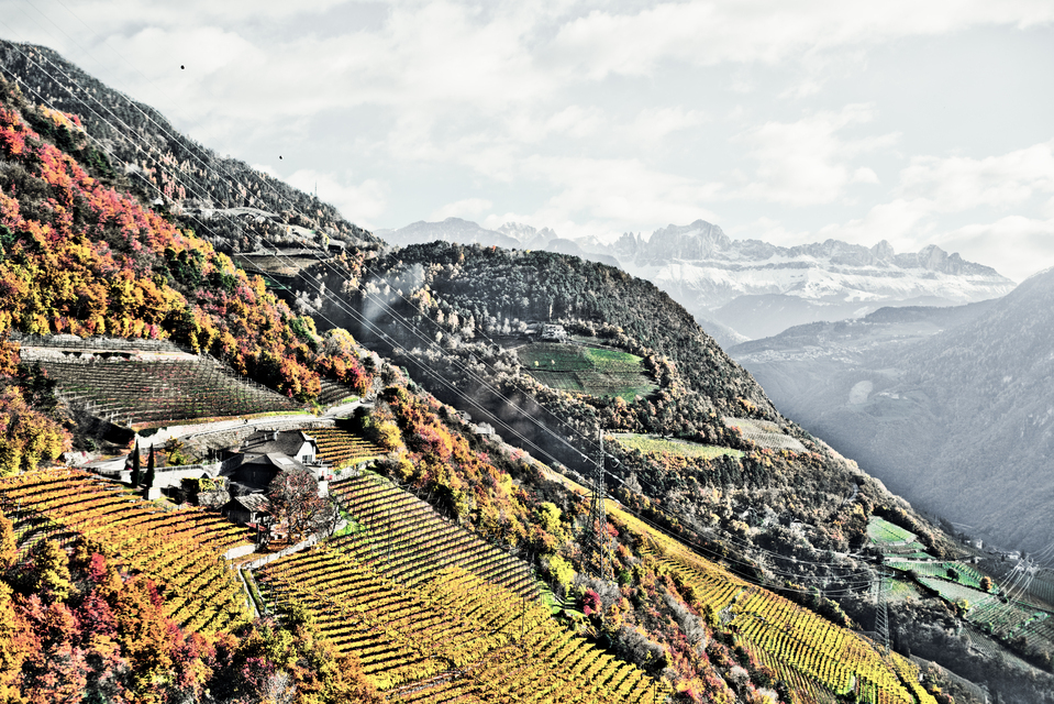 Above Bozen XX - ID 014166