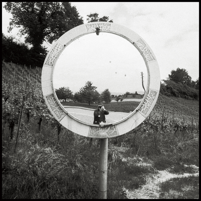 Swiss Mirror II - ID 014194