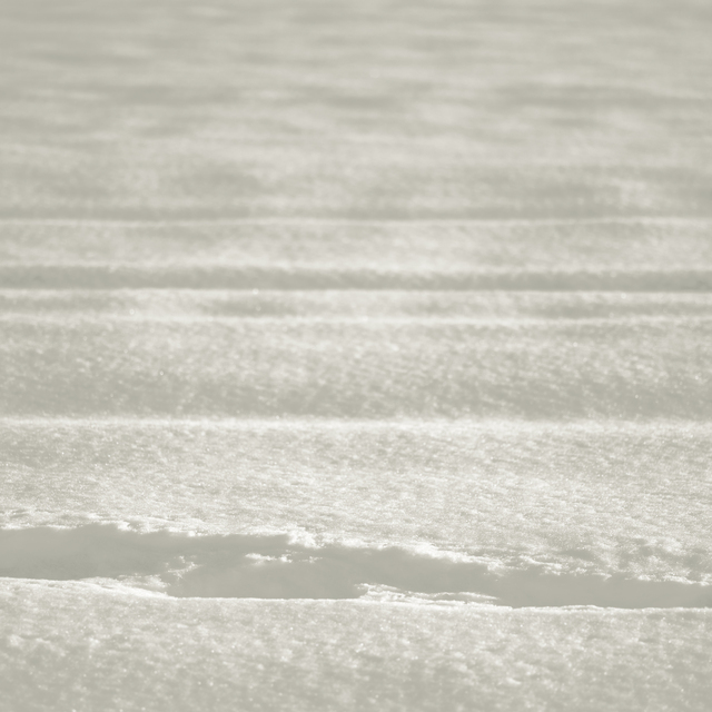 Snow Details VII - ID 014221