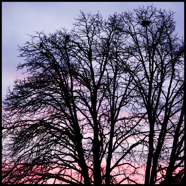Evening Glow - ID 014268
