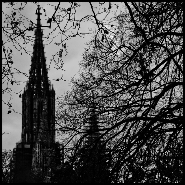Minster at Evening - ID 014272