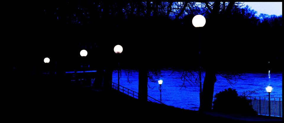 Blue Danube - ID 014274
