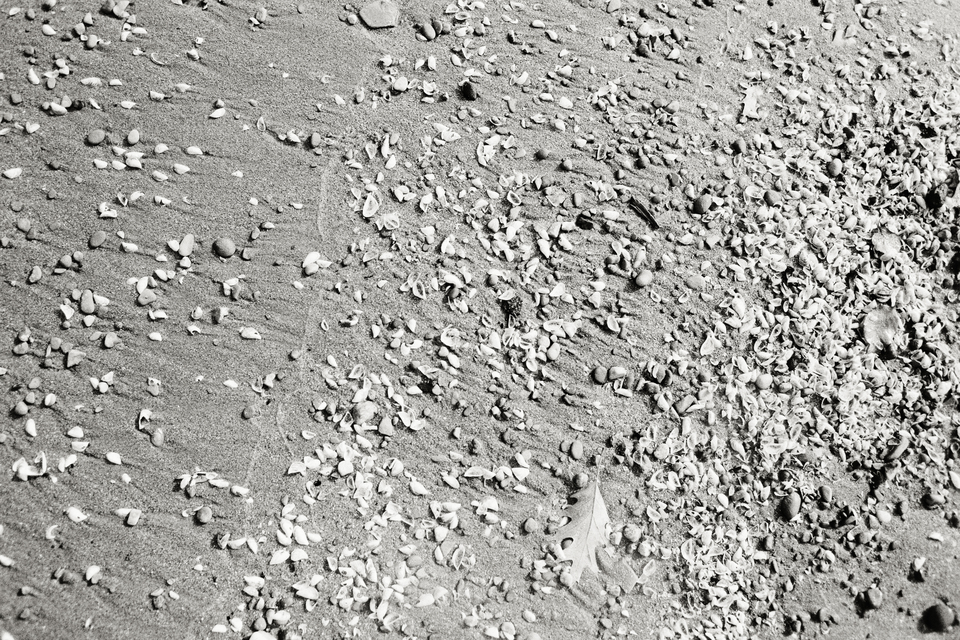 At Lake Eri IV - ID 014294