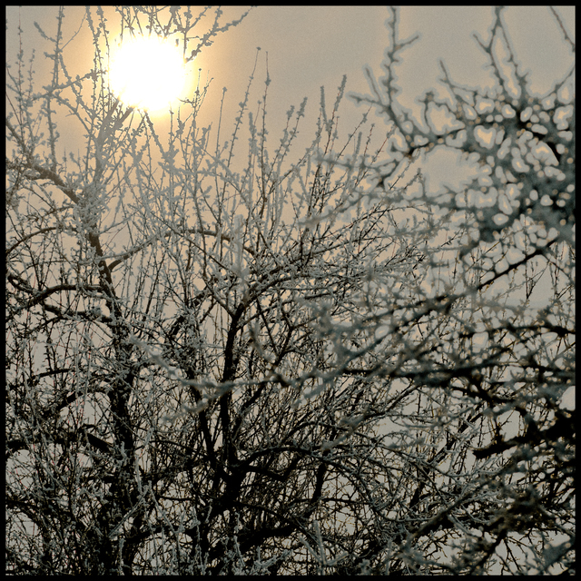 Winter Sunset I - ID 014320