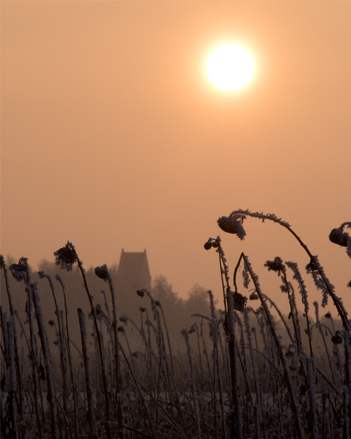 Winter Sunset IV - ID 014323