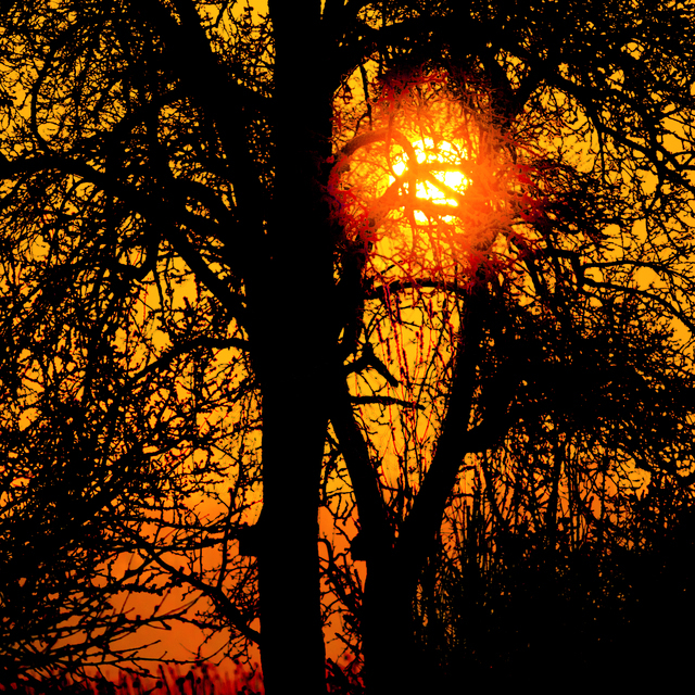 Winter Sunset VI - ID 014325