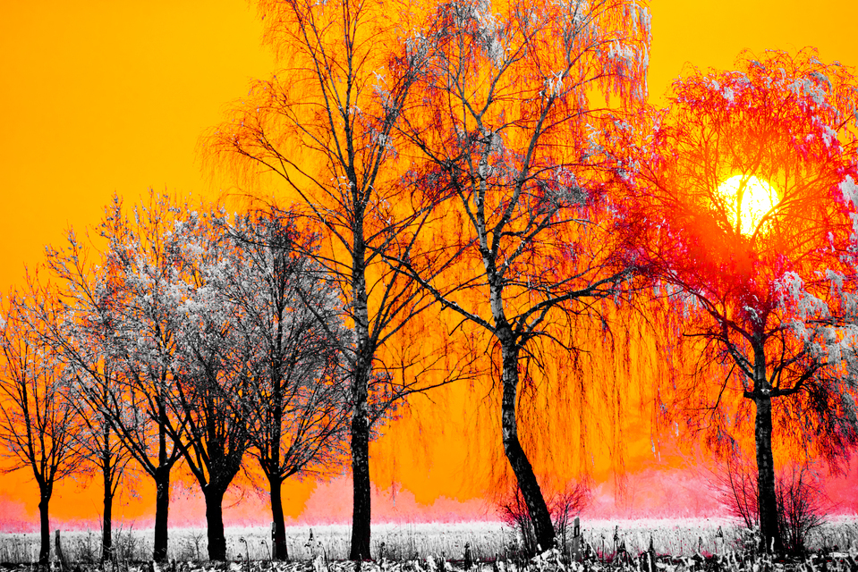Winter Sunset IX - ID 014328