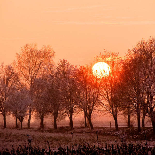 Winter Sunset XIII - ID 014332