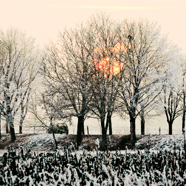 Winter Sunset XIV - ID 014333