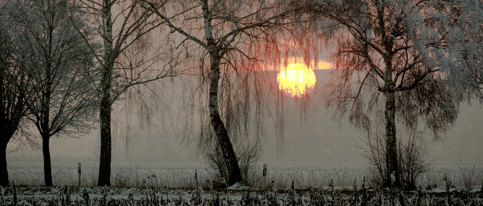 Winter Sunset XVII - ID 014336