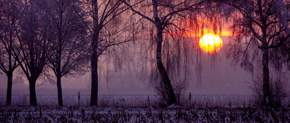 Winter Sunset XVIII - ID 014337