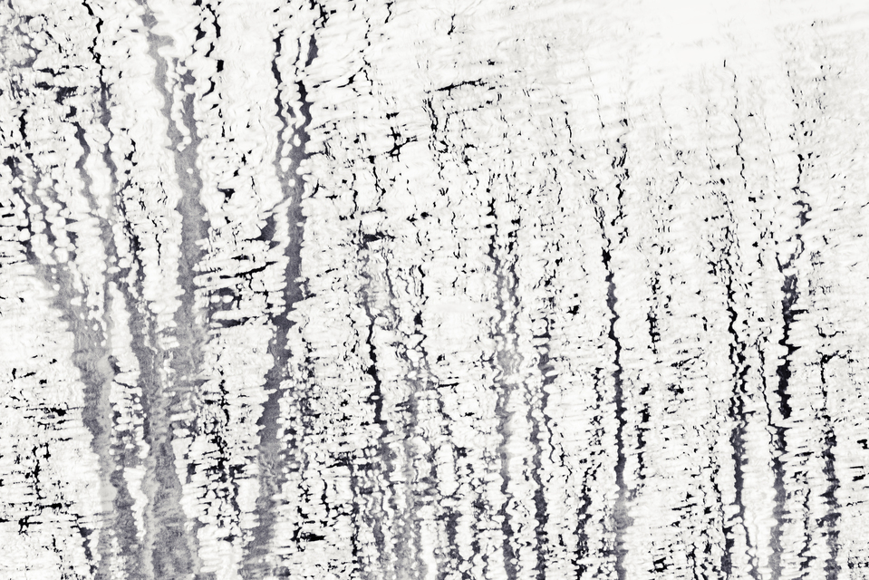 Black Trees on White Water I - ID 014356