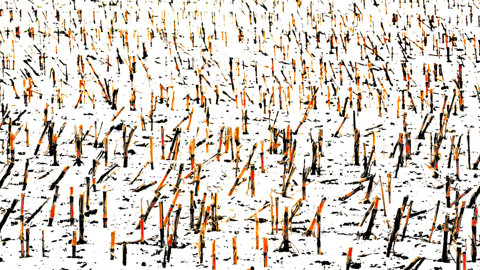 Emptied VIII - ID 014375