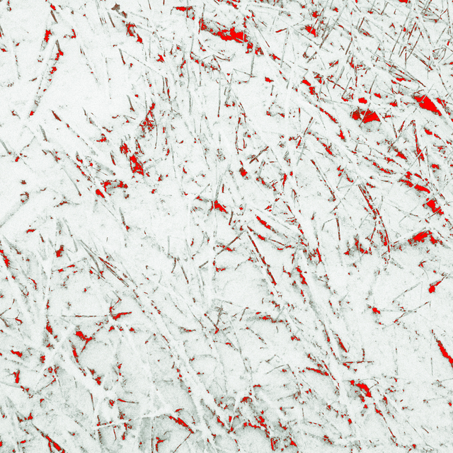 Red with Snow on Crop Plants II - ID 014389