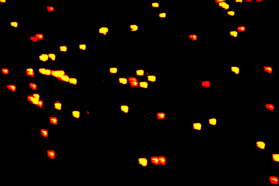 Serenade of Lights XIV - ID 014604