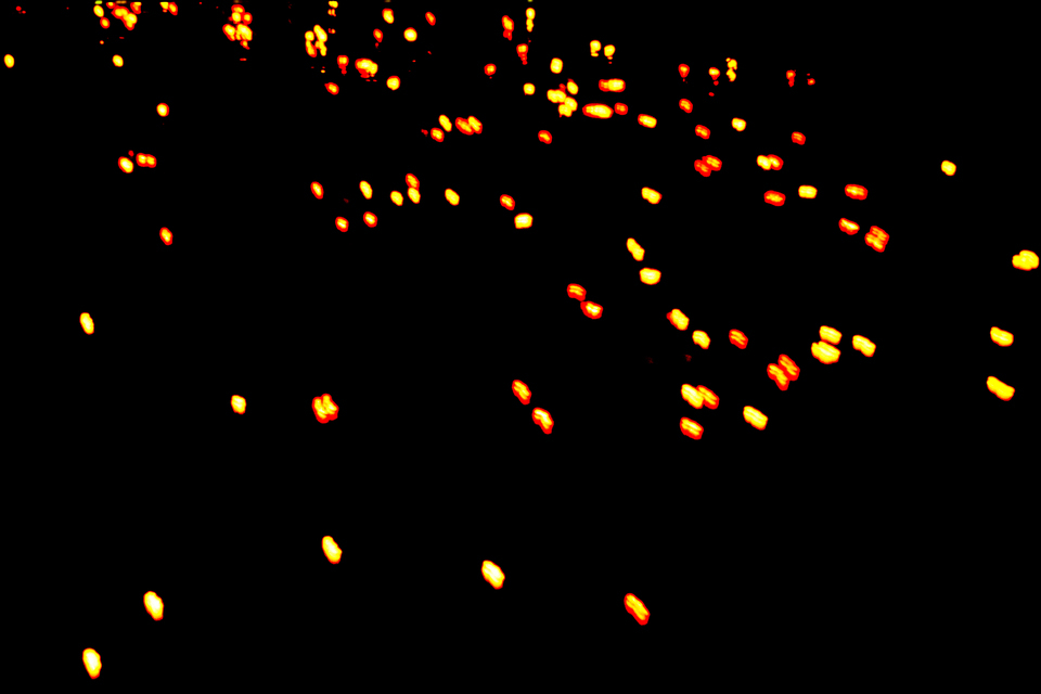 Serenade of Lights XVII - ID 014607