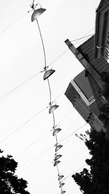 String of Lights II - ID 015003